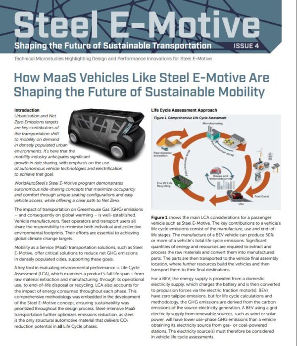 Cover of SEM Microstudy 4